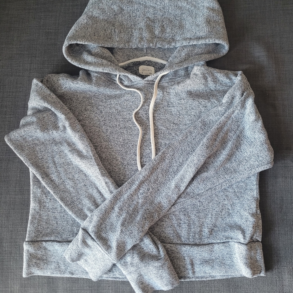 Aritzia Community cropped hoodie. Medium Heather grey.